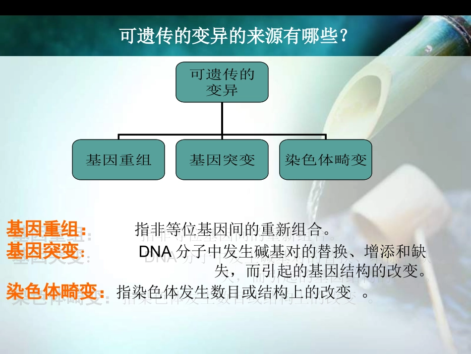 人类常见遗传病_第3页
