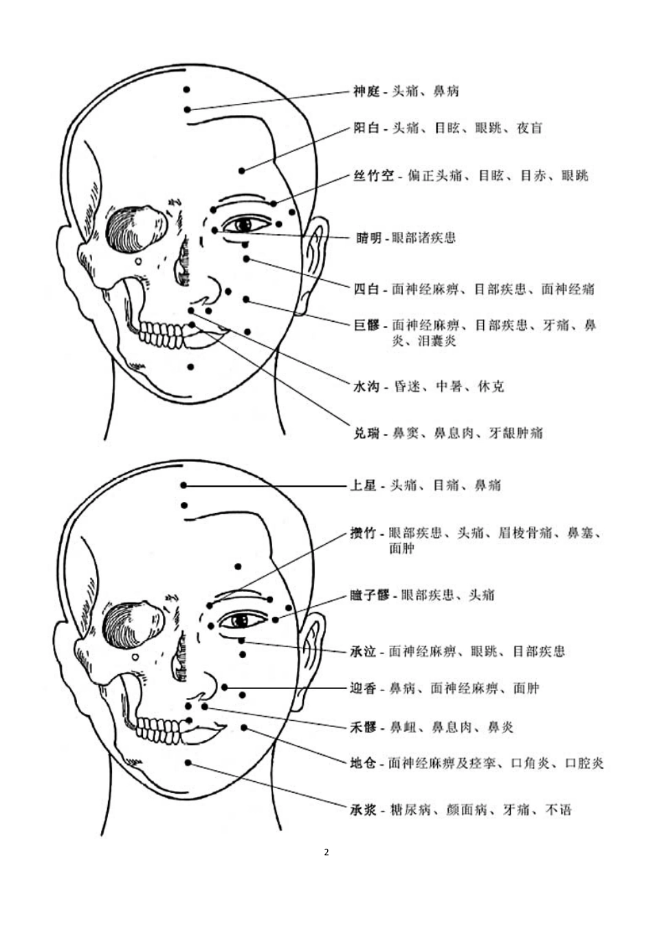 人穴位大全图解_第2页