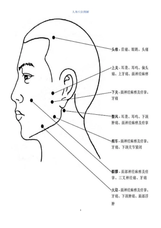 人穴位大全图解