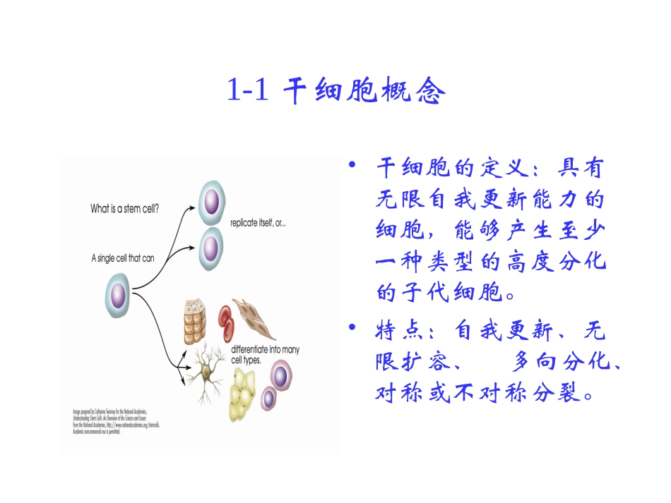 人类干细胞研究及伦理_第3页