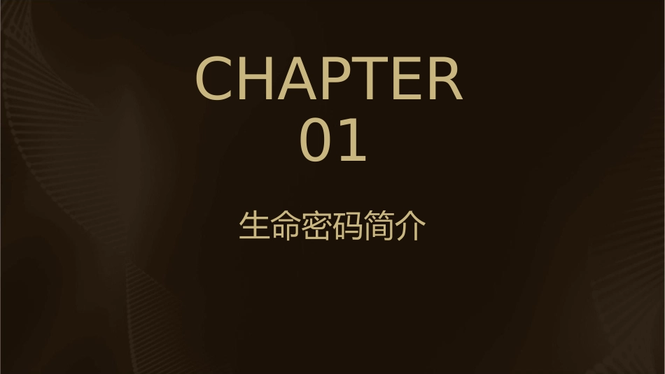 生命密码分享会课件_第3页