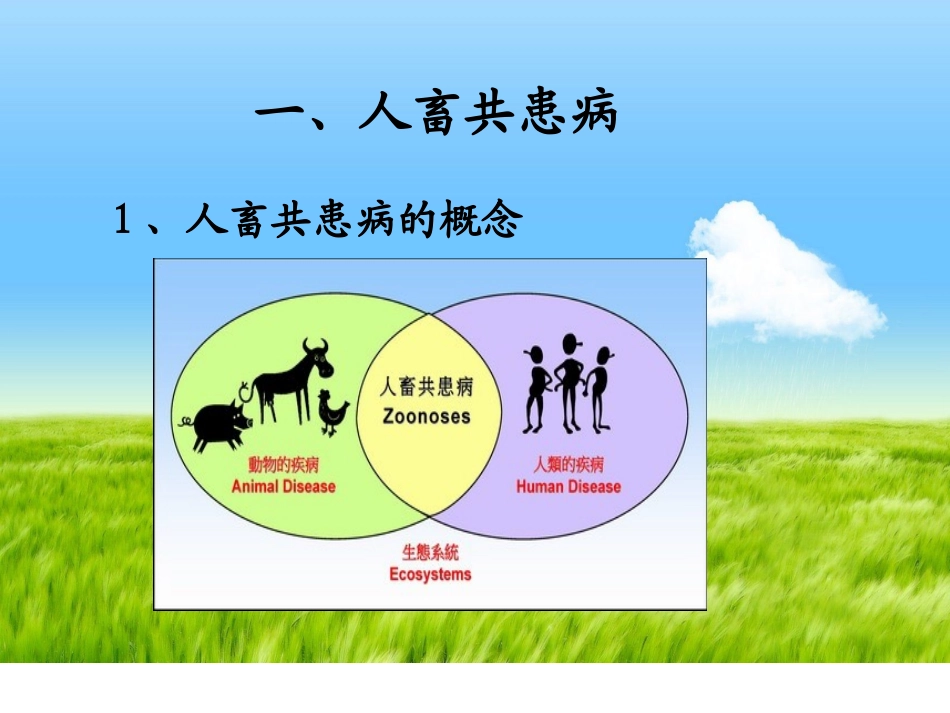 人畜共患传染病及防控策略_第3页