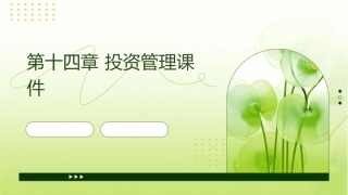第十四章 投资管理课件
