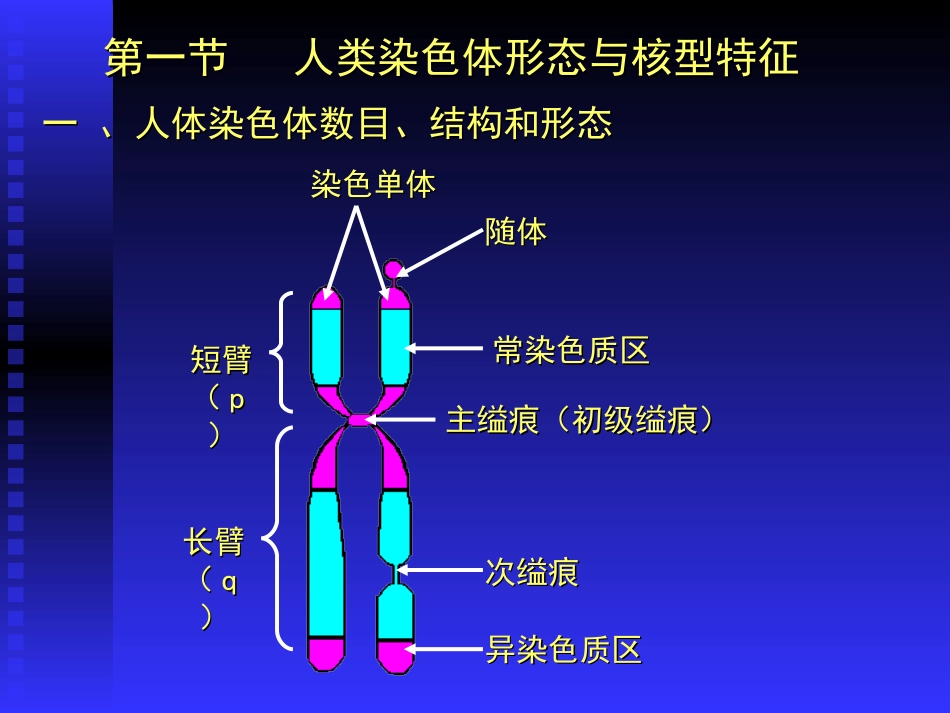 人染色体染色体病_第2页