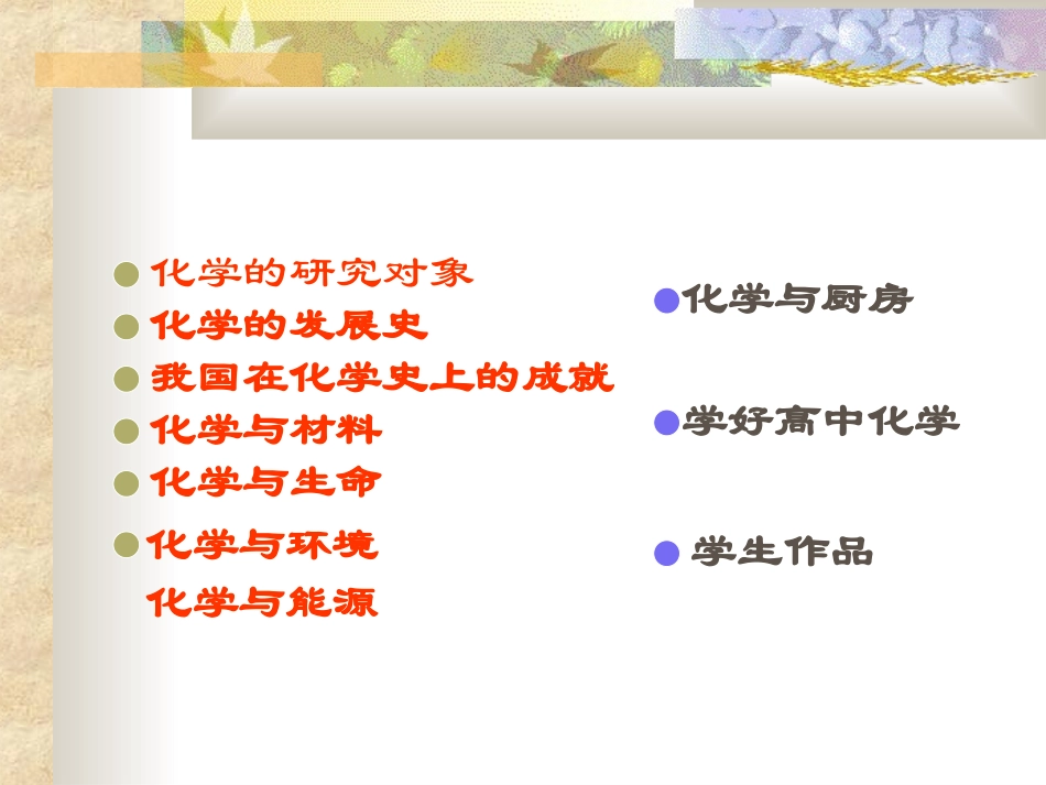 人教版高一化学绪言课_第2页