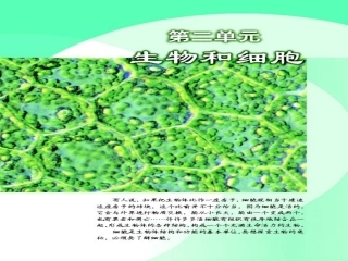 人教版教学课件必修一走近细胞 练习使用显微镜