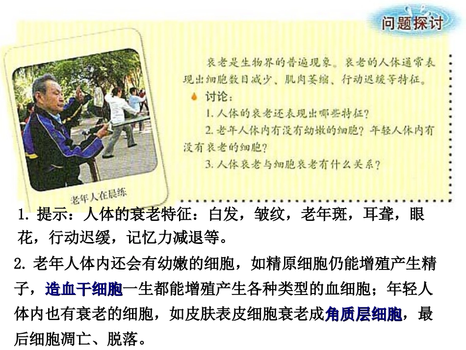 人教版必修一第六章第三节细胞的衰老和凋亡(共32张PPT)_第3页