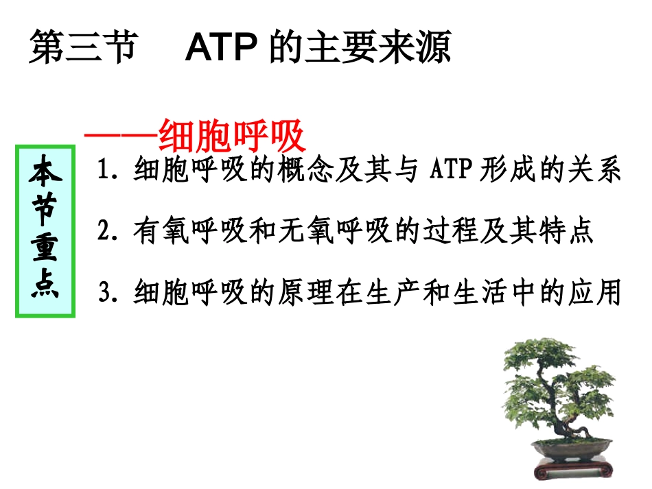 人教版教学课件ATP的主要来源——细胞呼吸1_第1页