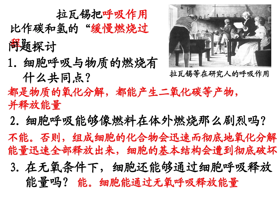 人教版教学课件ATP的主要来源——细胞呼吸1_第2页