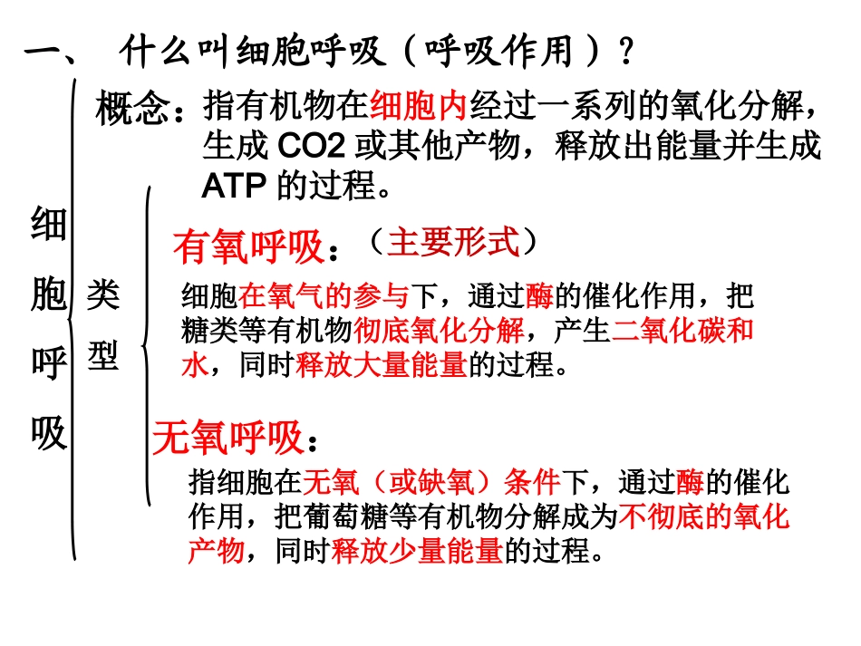人教版教学课件ATP的主要来源——细胞呼吸1_第3页