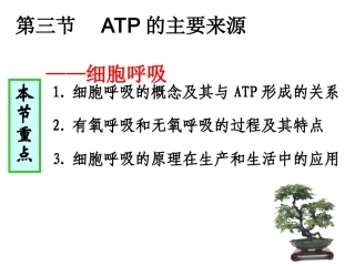 人教版教学课件ATP的主要来源——细胞呼吸1