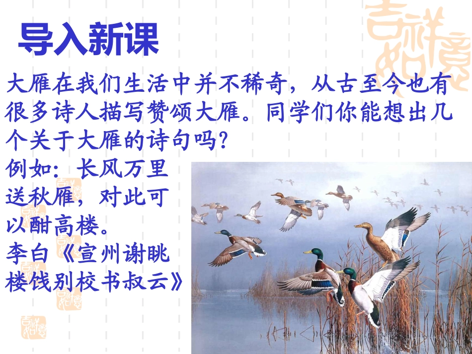 大雁归来PPT_第1页