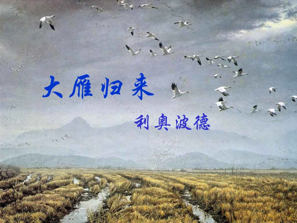 大雁归来PPT_第3页