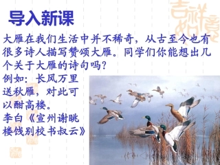大雁归来PPT