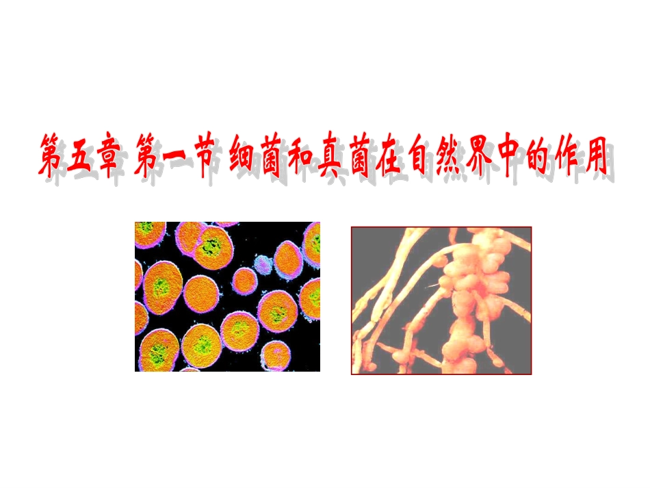 人教版八上第四章第四节细菌和真菌在自然界中的作用_第1页