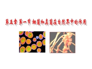 人教版八上第四章第四节细菌和真菌在自然界中的作用