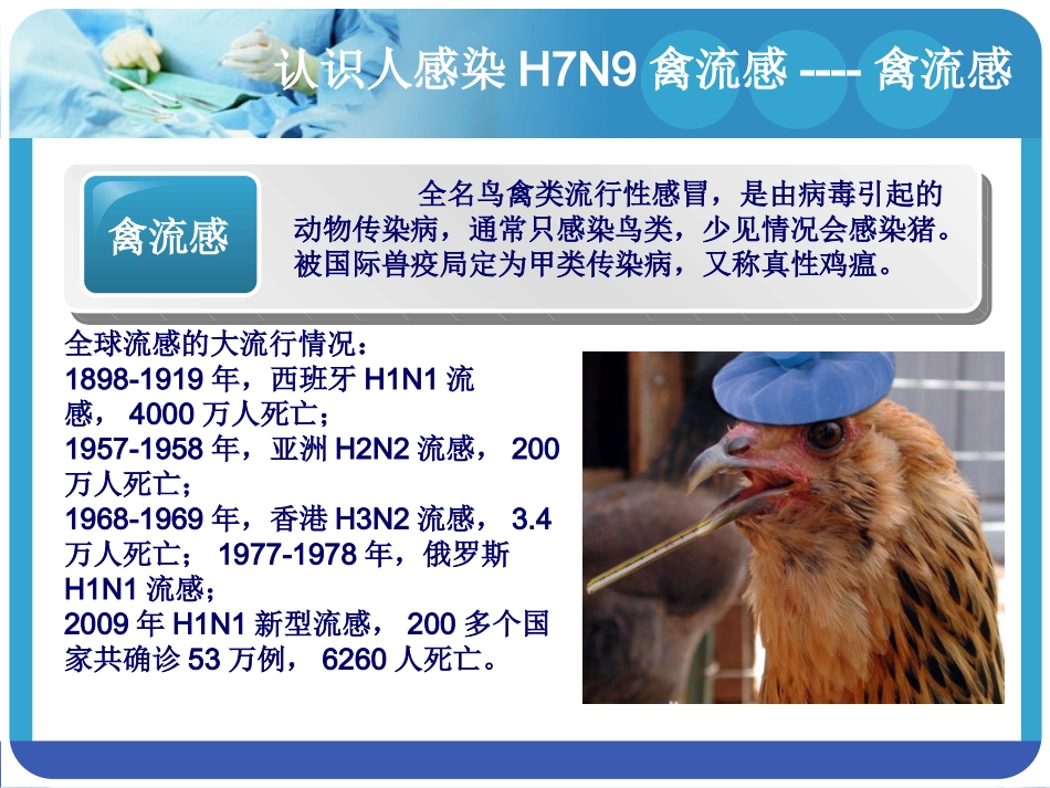 人感染禽流感防治知识_第2页