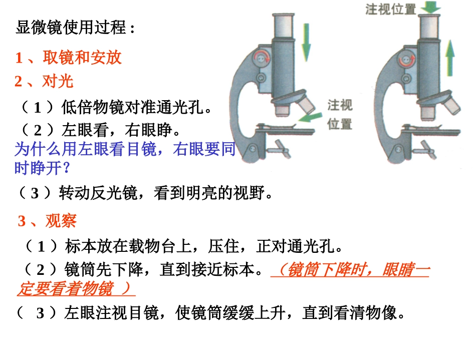 人教版七年级初一上册生物《练习使用显微镜课件PPT》_第3页
