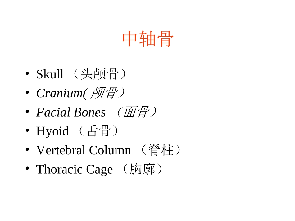 人体骨骼系统_第2页