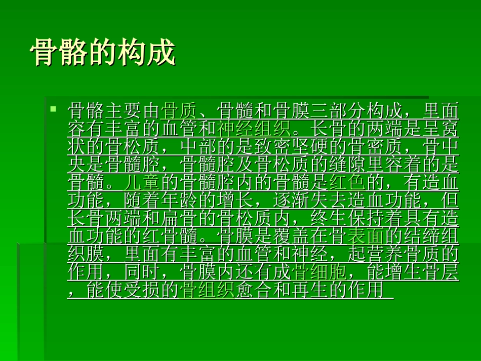 人体骨骼-PPT文档_第2页