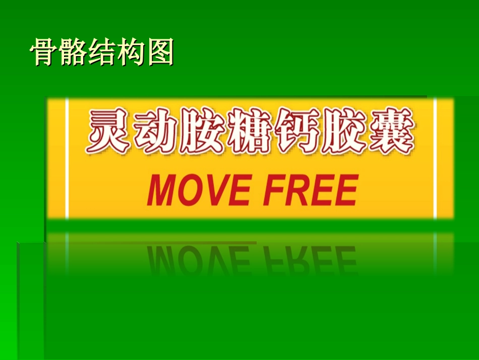 人体骨骼-PPT文档_第3页