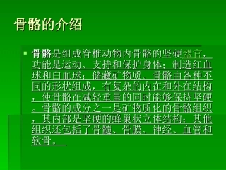 人体骨骼-PPT文档