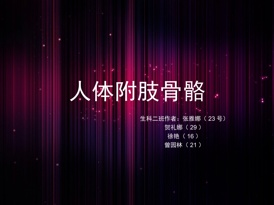 人体附肢骨骼_第1页