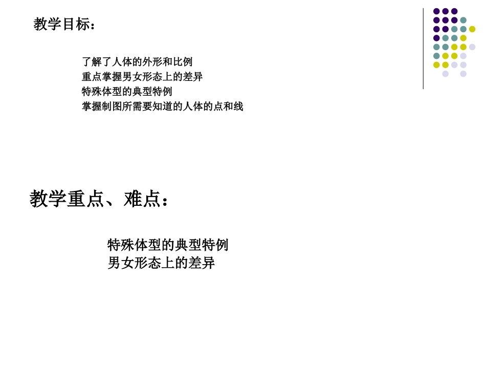 人体结构与外形_第2页