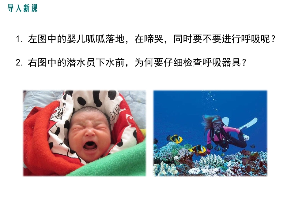 人体细胞获得氧气过程_第2页