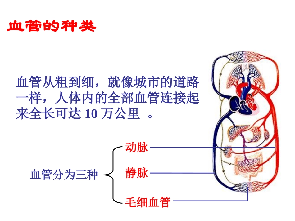 人体维持内环境稳定(二)_第2页