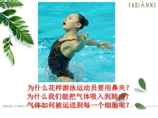 人体细胞获得氧气的过程课堂