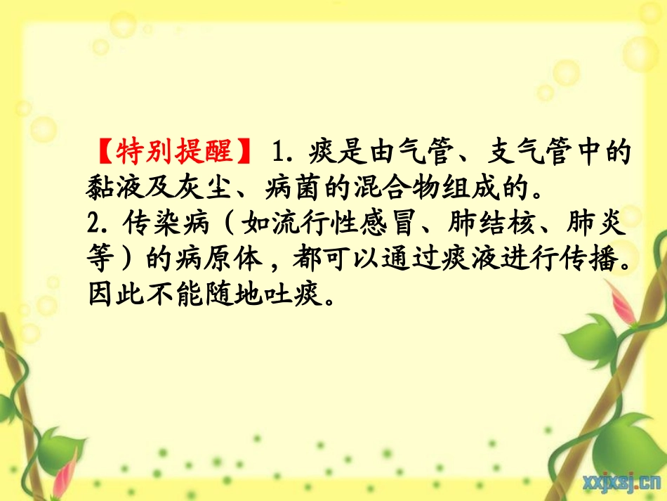 人体细胞获得氧气的过程(七年级下---北师大版)_第3页