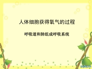 人体细胞获得氧气的过程(七年级下---北师大版)