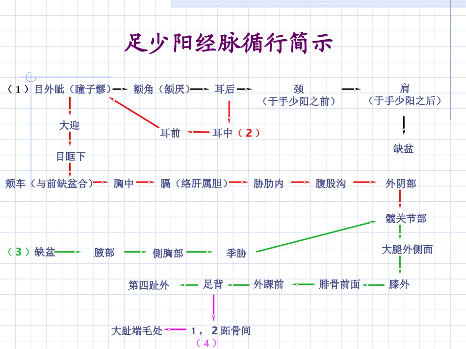 人体经络穴位图谱11胆经_第3页