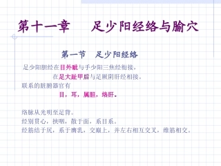 人体经络穴位图谱11胆经