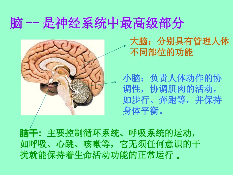 人体的自我调节_第3页