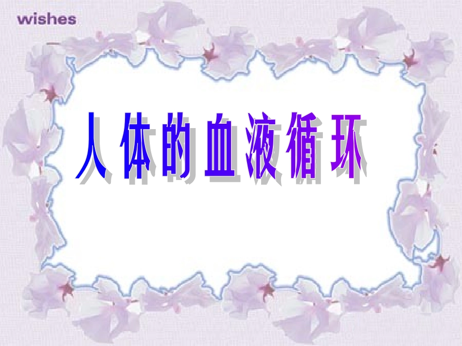 人体的血液循环PPT_第1页