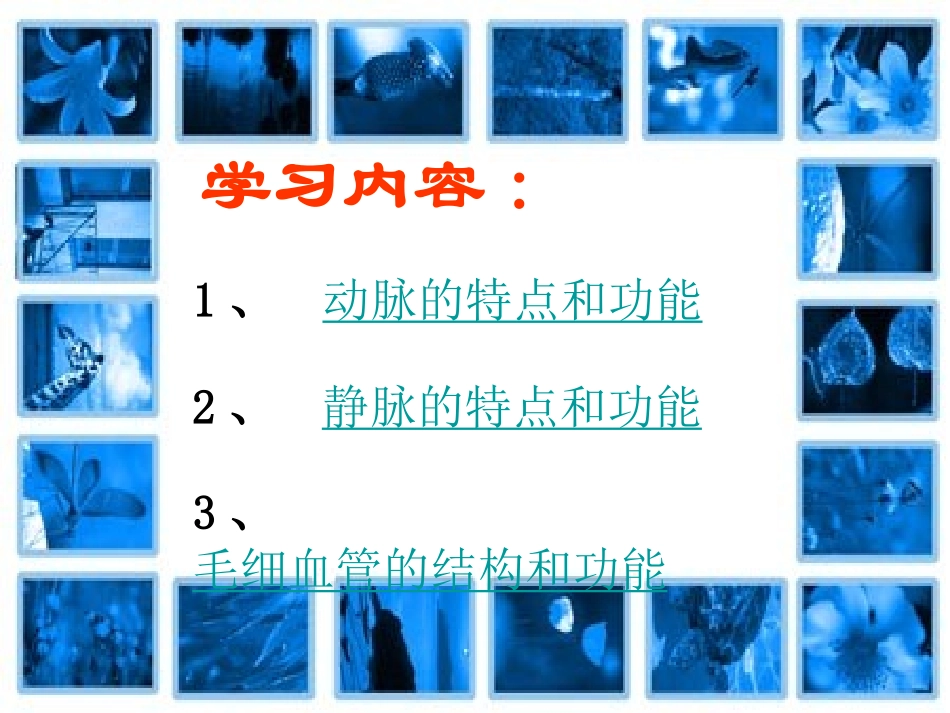人体的血液循环PPT_第2页