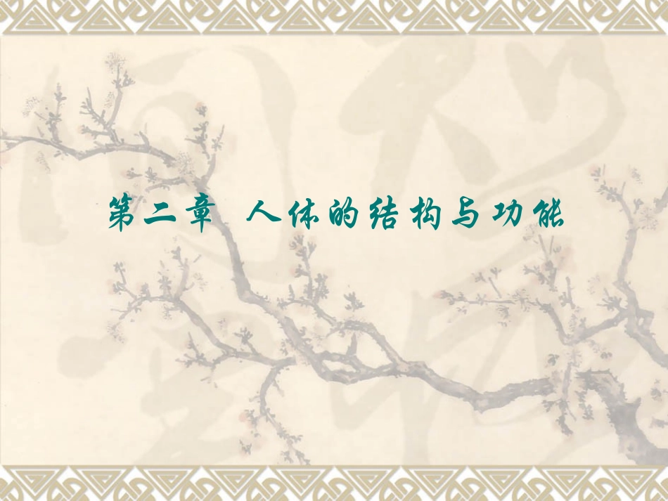 人体的结构与功能全解_第1页