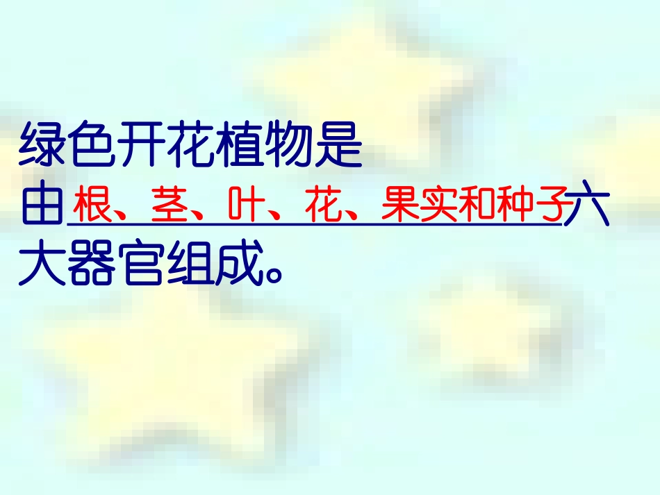 人体的组成肌肉组织结缔组织上皮组织神经组织_第3页