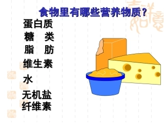 人体的消化和吸收