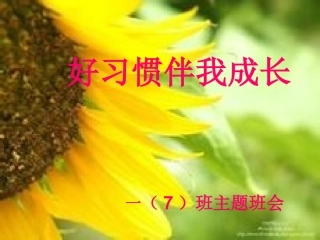 《行为习惯》主题班会课件