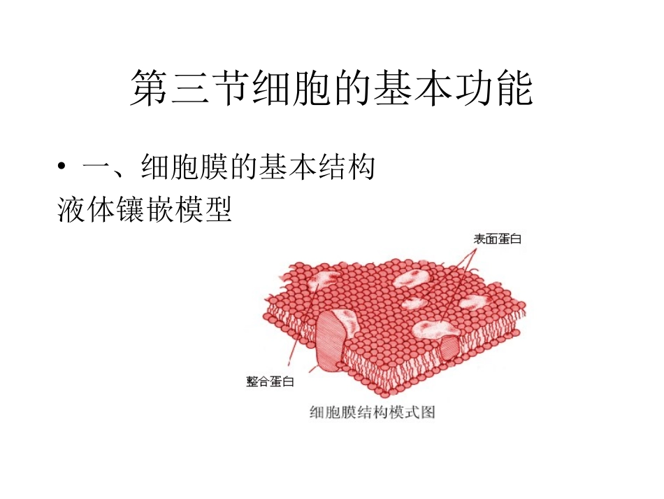 人体的基本生理功能_第3页