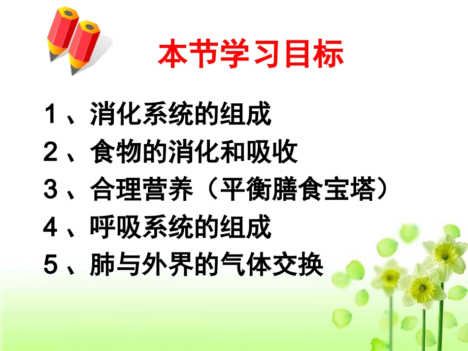 人体的消化吸收和呼吸_第2页