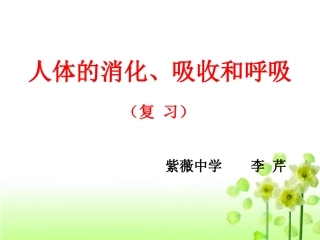 人体的消化吸收和呼吸