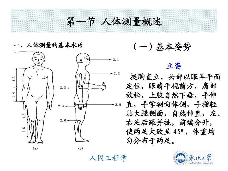 人体测量的基本术语立姿挺胸直立_第3页