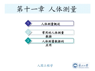 人体测量的基本术语立姿挺胸直立
