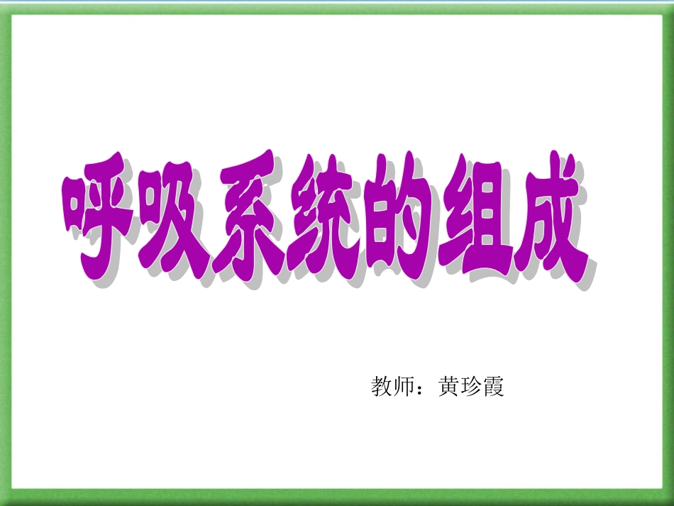 人体的呼吸PPT_第1页