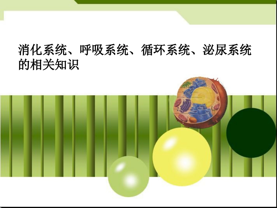 人体消化呼吸循环泌尿系统_第1页