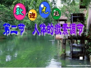 人体的激素调节(浙教版)